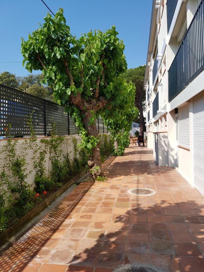 Apt Con Piscina En Calella De Palafrugell, Parking Gratuito Εξωτερικό φωτογραφία